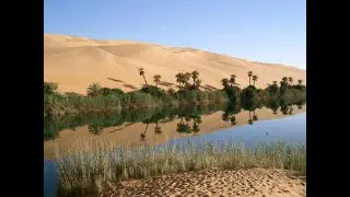 Talkpoint: Oasis Episode 1