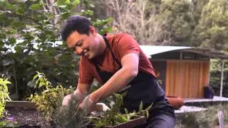 Sustainability in Tourism: Bothfeet Walking Lodge (Tourism Excellence)