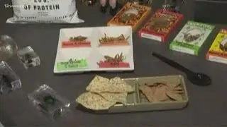Taste test bugs and more at Bug Fest