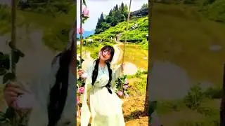 Sawah Bertingkat Keajaiban Pertanian Dunia