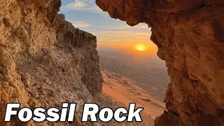 Fossil Rock