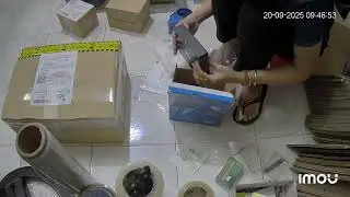 Video đ&oacute;ng h&agrave;ng mcc 20 09 2025