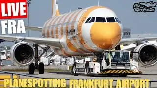 🔴Live Summer☀️ Planespotting Frankfurt Airport 🛫 Neue Abstellfläsche am FRA Airport?