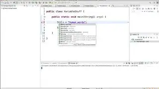 Java Tutorial for Beginners 2020: Understanding Variables