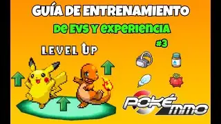 POKEMMO | GUIA DE ENTRENAMIENTO DE EVs y EXPERIENCIA - 3# VÍNCULO DE ENTRENAMIENTO Y VITAMINAS