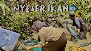 nyeser ikan di anak sungai #adayinmylife #adventure #bolang #minivlog