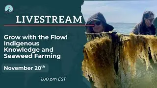 Grow with the Flow! Indigenous Knowledge and Seaweed Farming