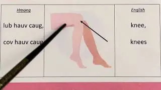 Daily Use Words in Hmong | Vocabulary with Pictures | Human Body Parts (Part 2)