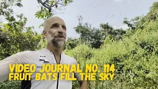 Fruit Bats &ndash; Begin Again Video Journal No. 114