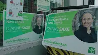 The Momentum Grows!  - Dianne Saxe - University-Rosedale