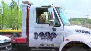 AAA AUTO SALVAGE AND TOWING - OVER 12 ACRES OF PARTS
