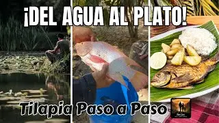 C&oacute;mo Pescar, Limpiar y Preparar Tilapia Roja | Receta F&aacute;cil y Paso a Paso