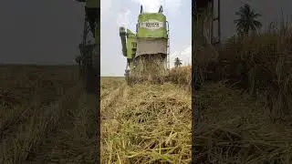 kartar-3500 G harvester mass status in field work#kartarpurcorridor #tractor #combine