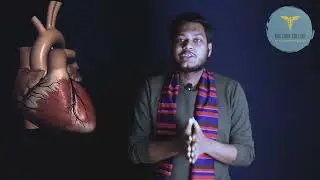 Learn Anatomy easily in Bangla | All About Doctors College | Be A Futuristic Doctor |