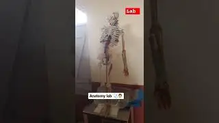 anatomy lab #anatomy #lab #aims #medical