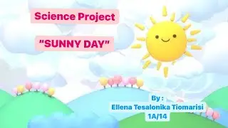 Sunny Day Activities