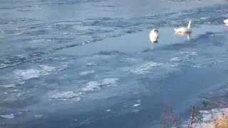 bruit glace qui fond