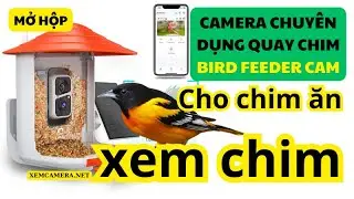 Mở hộp camera chuy&ecirc;n dụng quay chim Bird Feeder camera xem chim Bird Watching camera