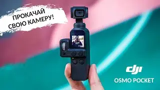 DJI OSMO POCKET: как получить максимум от этой камеры?!
