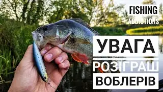 РОЗІГРАШ 3 японських воблерів! Трофейна щука на KEITECH crazy flapper 3.6