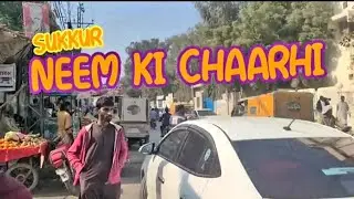 Neem Ki Chaarhi|Sukkur in pakistan |Karachi