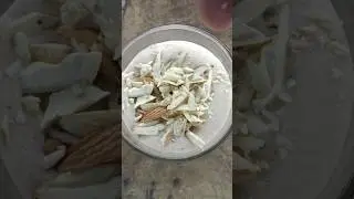 Dairy Milk Shake#sothuchetty#scf#shorts#shortvideo#milkshake#recipe#reels#cooking#shortsfeed#comment