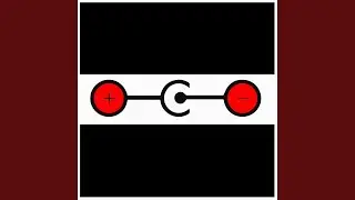 Negative Polarity