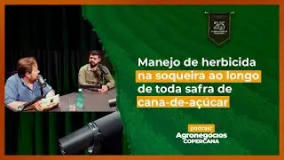 Manejo de herbicida na soqueira ao longo de toda safra de cana-de-açúcar