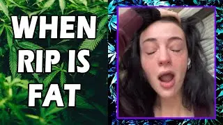 WEED MEMES & Fail Compilation [#229] - Fatally Stoned