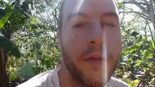 PermaTip: Natural Fertility and Passive Irrigation with Mulch