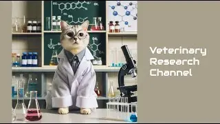 21. Feline Urine Anion Gap and Ammonia Creatinine Ratio in Health and Kidney Disease