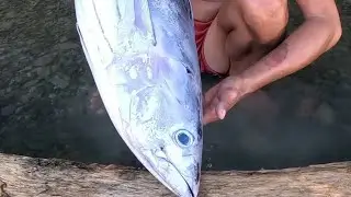 Fresh Tulingan inihaw at Kinilaw sa Tanghalian! 😱