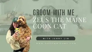 Safety-Proof Maine Coon Cat Grooming | Zeus's Spa Day at Groom With Me