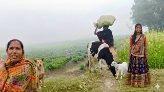 Lost in Time: A Day in the Quietest Village of Rural India | Indian Real Village