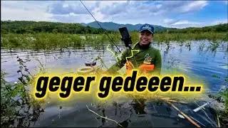 BADAI BESAR MELANDA IKAN TETAP RAKUS❗WGM