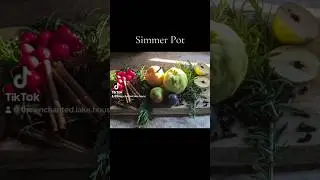 ✨Enchanted Kitchen✨ - Summer Simmer Pot