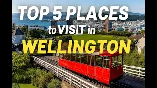 Top 5 Places to Visit in Wellington | Best Tourist Spots in New Zealand&rsquo;s Capital