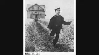 The Reflecting Skin (Finale) - Nick Bic&acirc;t