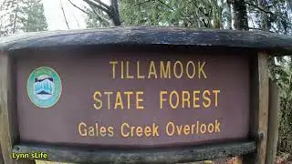 WALKING TOUR | TILLAMOOK STATE FOREST | WEST PORTLAND | OREGON USA