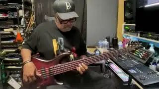 MTD Kingston 5 (Andrew Gouch&eacute;) Signature