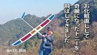お化粧直ししたトニーを飛ばしてきました