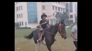 Horse Riding -  Beginner Level learning and Fun. #horseriding