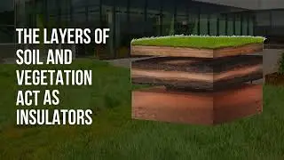 The Impact of Green Roofs on Energy Efficiency and Insulation | Eco Home Scotland