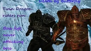 Twin Dragonriders boss fight, no attacking (moon butterfly set) |Dark Souls 2|