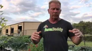 Garden Pest Control