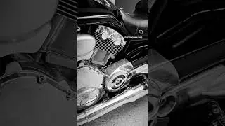 Harley Davidson Vrod #bikes #vlog #harleydavidson #vrod #viral #viralvideo #viralshorts #fyp #fypシ