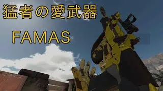 みんな大好きFAMAS【バレフォ】