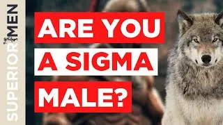 These Are The 14 Traits Of A SIGMA Male! 🐺