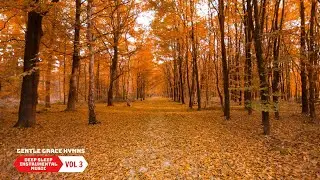 Calm Instrumental Hymns | Christian Instrumental Music for Quiet Reflection & Deep Rest