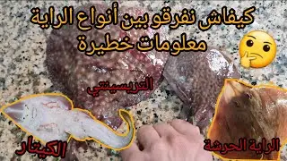 كيفاش نفرقو بين أنواع سمك الراية مع جولة في سوق حي الشريفة 👍👍💯💯💯